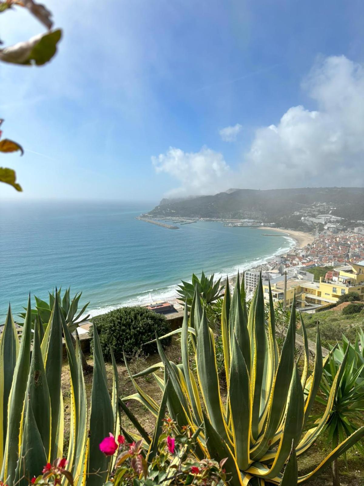 Sesimbra Life Daire Dış mekan fotoğraf